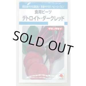 画像: 送料無料 食用ビーツ デトロイト・ダークレッド 9ml タキイ種苗(株) MF
