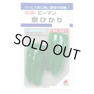 画像: 送料無料　[ピーマン]　京ひかり　27粒　タキイ種苗(株)　DF