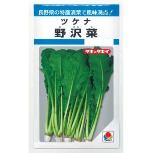 画像: [葉物]　野沢菜　4.5ml　タキイ種苗　MF　