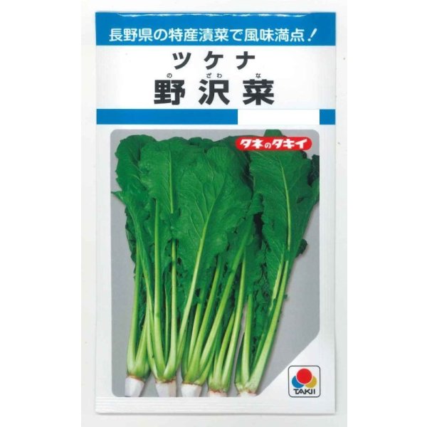 画像1: 送料無料　野沢菜　4.5ml　タキイ種苗　MF (1)