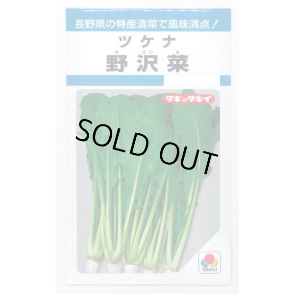 画像1: 送料無料　[葉物]　野沢菜　4.5ml　タキイ種苗　MF (1)