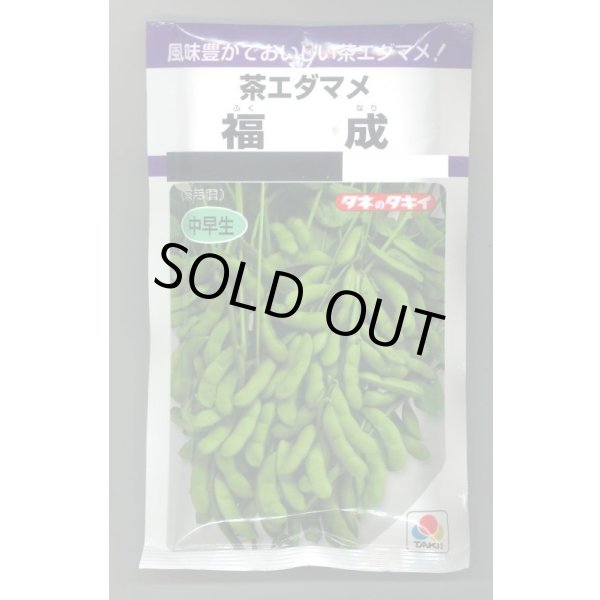 画像1: 送料無料　[枝豆]　福成　80ml(およそ180粒)　タキイ種苗(株)　PF (1)