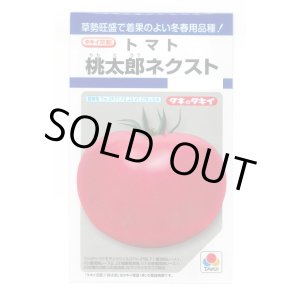 画像: 送料無料　[トマト/桃太郎系]　桃太郎ネクスト　16粒　タキイ種苗(株)　DF