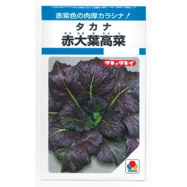 画像1: 送料無料　赤大葉高菜　3.5ml　タキイ種苗(株)　MF (1)