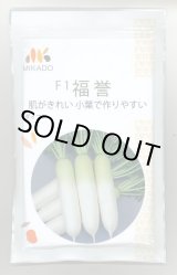 画像: 送料無料　大根種　福誉　ペレット5千粒　ヴィルモランみかど