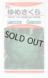 画像: 送料無料　[ブロッコリー]　ゆめさくら　100粒　野崎採種場