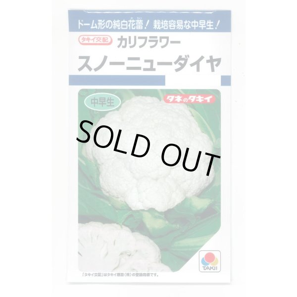 画像1: 送料無料　[カリフラワー]　スノーニューダイヤ　1.2ml　タキイ種苗(株)　DF (1)