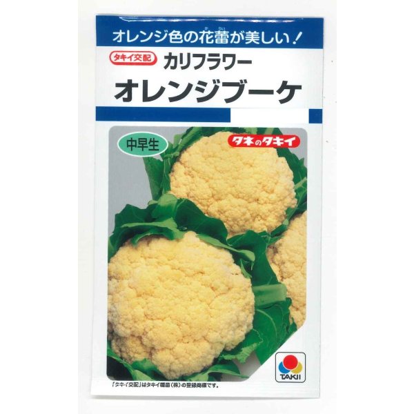 画像1: [カリフラワー] オレンジブーケ 0.9m タキイ種苗(株) DF (1)