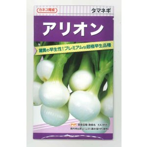 画像: [たまねぎ] アリオン 20ml カネコ種苗（株）