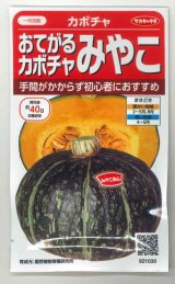 画像: 送料無料　[かぼちゃ]　みやこ　およそ7粒　(株)サカタのタネ　実咲450（002873）