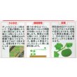 画像2: 送料無料　[かぼちゃ]　みやこ　およそ7粒　(株)サカタのタネ　実咲450（002873） (2)