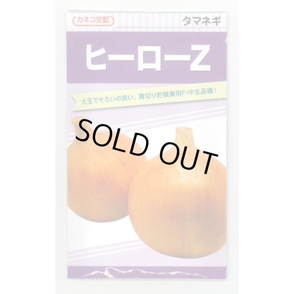 画像1: 送料無料　[たまねぎ]　ヒーローZ　20ml　カネコ種苗 (1)