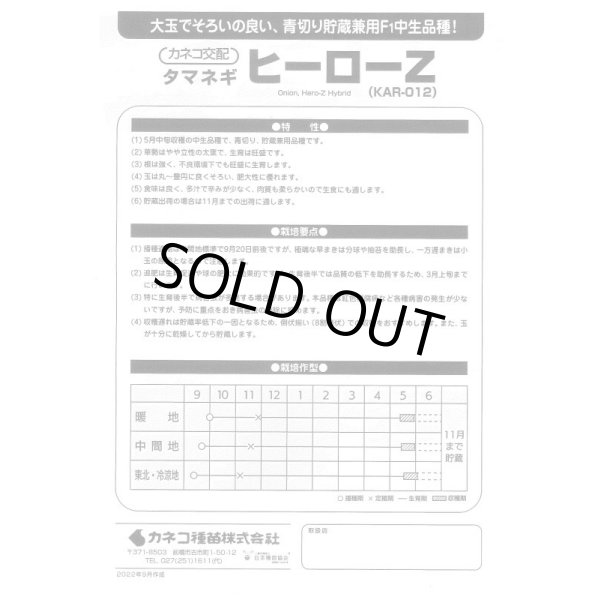 画像3: [たまねぎ]　ヒーローZ　小袋（2.7ml）　カネコ種苗 (3)