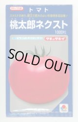 画像: 送料無料　[トマト/桃太郎系]　桃太郎ネクスト　1000粒　タキイ種苗(株)
