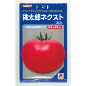 画像: 送料無料　[トマト/桃太郎系]　桃太郎ネクスト　1000粒　タキイ種苗(株)