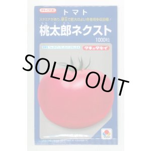 画像: 送料無料　[トマト/桃太郎系]　桃太郎ネクスト　1000粒　タキイ種苗(株)