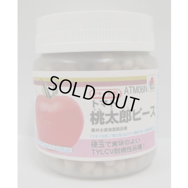 画像1: 送料無料　[トマト/桃太郎系]　桃太郎ピース　ペレット1000粒　タキイ種苗（株） (1)
