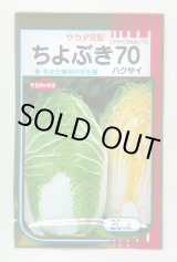 画像: 送料無料　[白菜]　ちよぶき70　20ml　（株）サカタのタネ