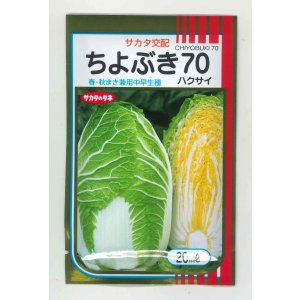 画像: 送料無料　[白菜]　ちよぶき70　20ml　（株）サカタのタネ