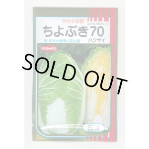 画像: 送料無料　[白菜]　ちよぶき70　20ml　（株）サカタのタネ