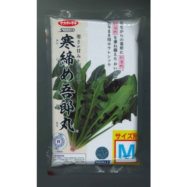 画像1: [ほうれんそう] 寒締め吾郎丸 種子サイズM 3万粒 （株）サカタのタネ (1)