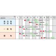 画像2: [白菜]　ちよぶき70　20ml　 サカタのタネ (2)