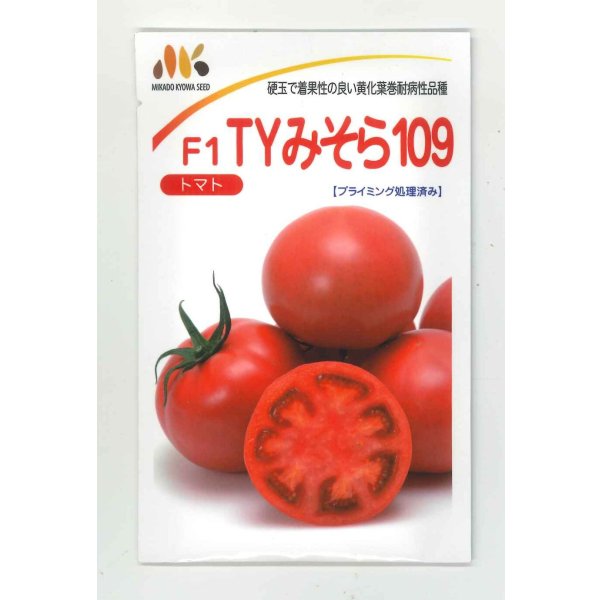 画像1: 送料無料　[トマト]　大玉トマト　TYみそら109　100粒　ヴィルモランみかど（株） (1)