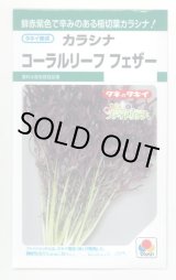 画像: 送料無料　からしな　コーラルリーフフェザー　6ml　タキイ種苗(株)GF