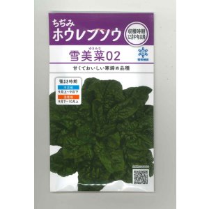 画像: 送料無料　[ほうれんそう]　雪美菜02　30ml　(およそ900粒)　雪印種苗(株)