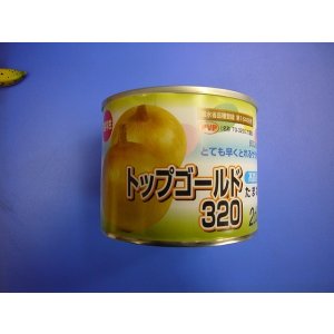 画像: 送料無料　[たまねぎ]　トップゴールド320　2dl　(株)タカヤマシード