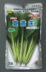 画像: 送料無料　[小松菜]　夏蒼天　2dl　タキイ種苗(株)