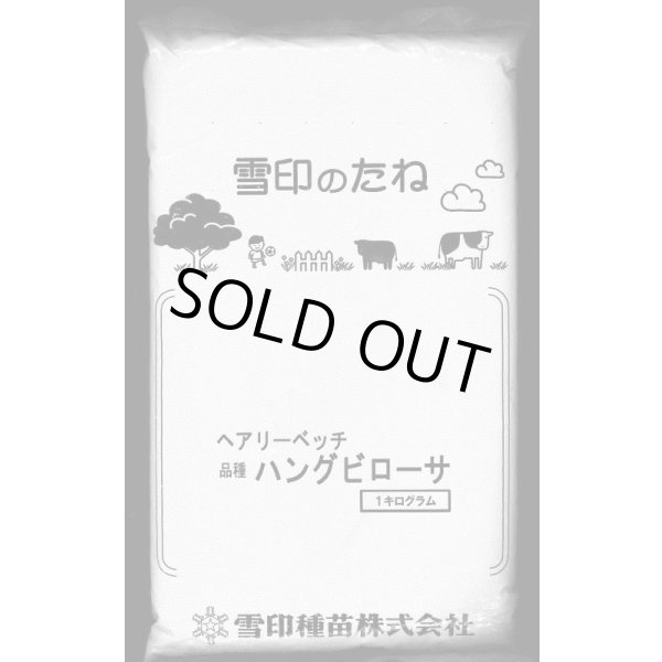 画像3: [緑肥]　ペルシアンクローバ　まめ小町　1kg　雪印種苗(株) (3)