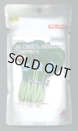 画像: 送料無料　みそめ　2dl　タキイ種苗(株)