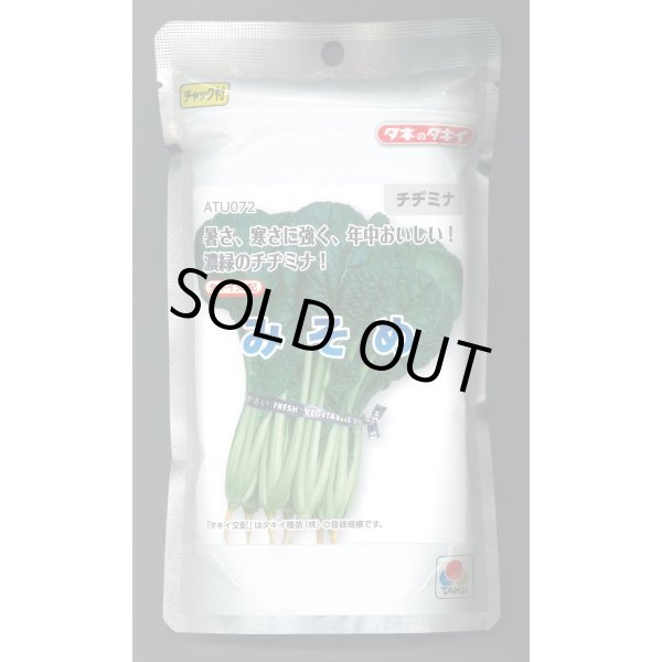 画像1: 送料無料　みそめ　2dl　タキイ種苗(株) (1)