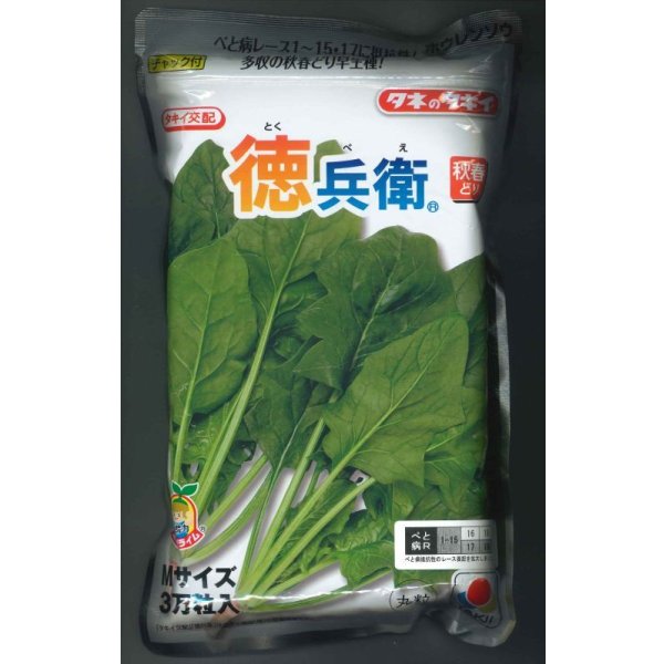画像1: [ほうれんそう]　徳兵衛　3万粒(種子サイズ：M)　タキイ種苗(株) (1)