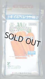 画像: 送料無料　[人参]　グランプリ　ペレット1万粒　タキイ種苗(株)