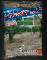 画像: [緑肥]　草生栽培用作物(秋まき)ナギナタガヤ(日本在来)　1kg　タキイ種苗(株)