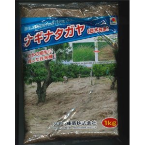 画像: [緑肥]　草生栽培用作物（秋まき）ナギナタガヤ（日本在来）　1kg　タキイ種苗（株）