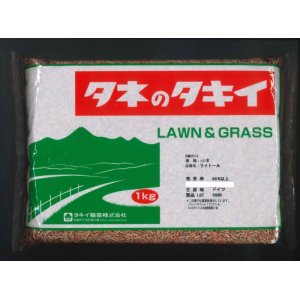 画像: [緑肥]　らい麦　ライトール　1kg　タキイ種苗（株）　