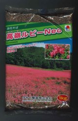 画像: [景観形成作物]　赤花そば　高嶺ルビー Neo　 1kg　タキイ種苗（株）