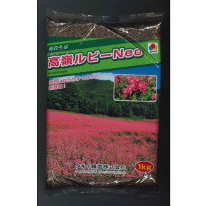 画像: [景観形成作物]　赤花そば　高嶺ルビー　Neo　1kg　タキイ種苗(株)