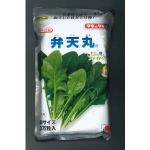 画像: [ほうれんそう]　弁天丸　3万粒(Mサイズ)　タキイ種苗