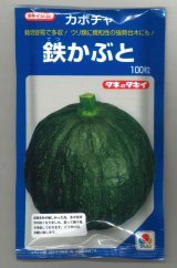 画像: [かぼちゃ]　鉄かぶと　100粒　（瓜類台木使用可）　タキイ種苗（株）