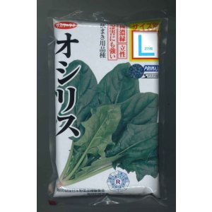画像: [ほうれんそう]　オシリス　2万粒　種子サイズ：L　（株）サカタのタネ