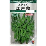画像: 送料無料　[枝豆]　江戸緑枝豆　35ml　タキイ種苗　GF