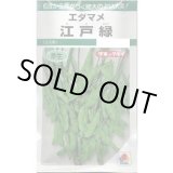 画像: 送料無料　[枝豆]　江戸緑枝豆　35ml　タキイ種苗　GF