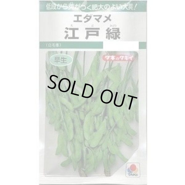 画像1: 送料無料　[枝豆]　江戸緑枝豆　35ml　タキイ種苗　GF (1)