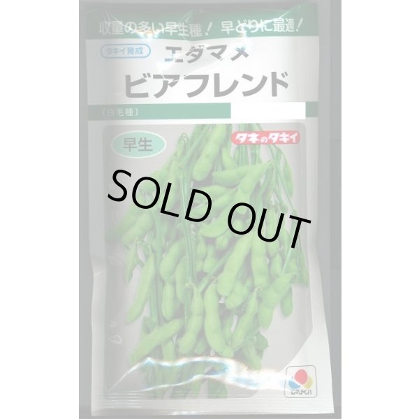 画像1: 送料無料　[枝豆]　ビアフレンド　35ml　タキイ種苗(株)　GF (1)