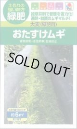 画像: 送料無料　[緑肥]　大麦(緑肥用)おたすけムギ　小袋(約6平方メートル分)　タキイ種苗(株)