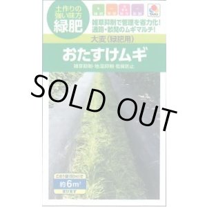 画像: 送料無料　[緑肥]　大麦(緑肥用)おたすけムギ　小袋(約6平方メートル分)　タキイ種苗(株)